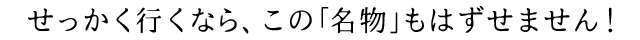 せっかく行くなら、この「名物」もはずせません！