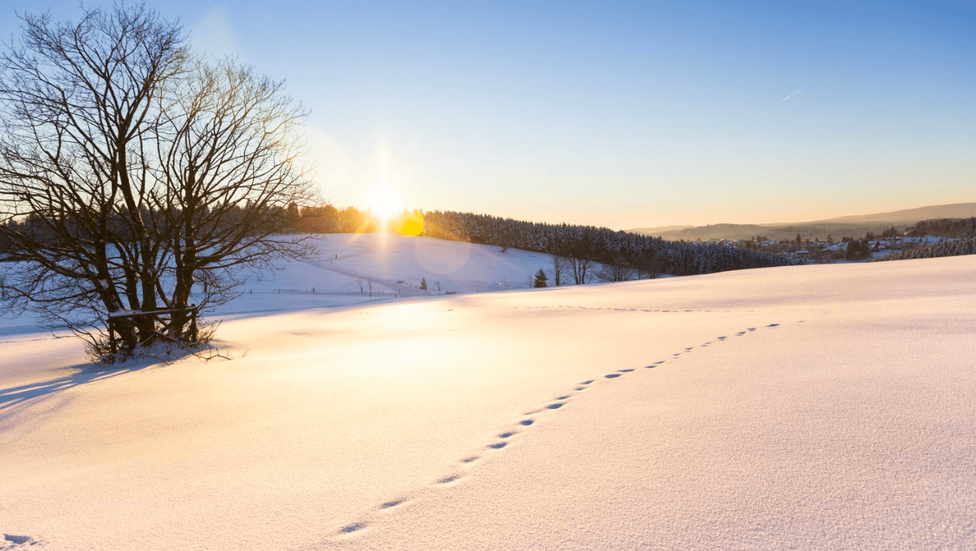 ザクセンアンハルト州：雪靴で冬の楽園へ
